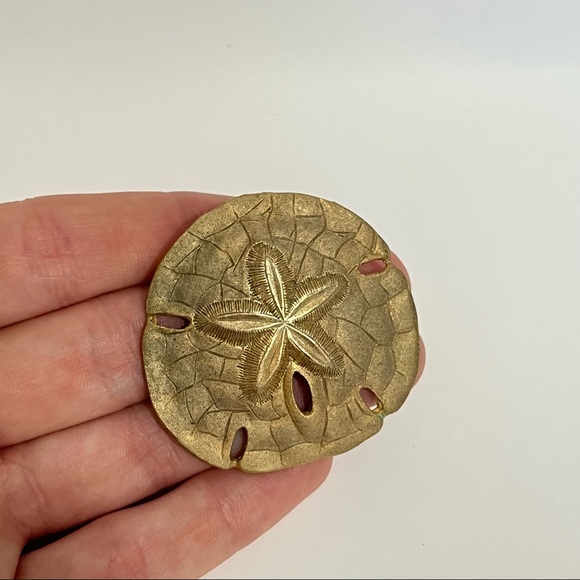 Vintage sand dollar brooch - Picture 3 of 5